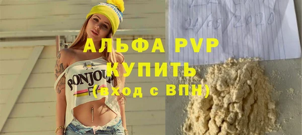 стафф Новокубанск