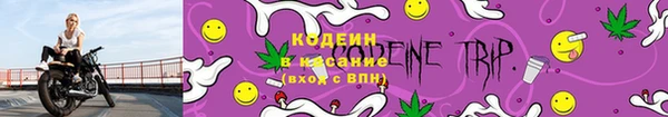 прущие грибы Ростов