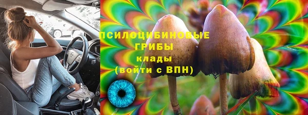 стафф Саяногорск